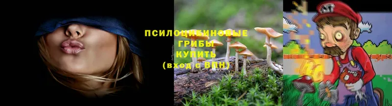 blacksprut рабочий сайт  Верещагино  Псилоцибиновые грибы MAGIC MUSHROOMS 